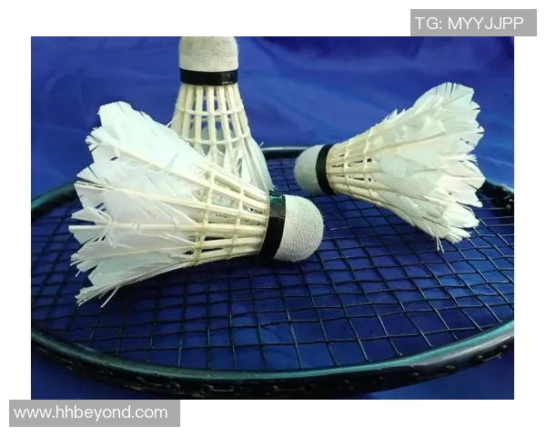 羽毛球新手必看:提升灵活性的全面入门指南与实用技巧 羽毛球新手必看:提升灵活性的全面入门指南与实用技巧