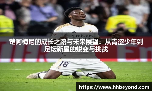 3377体育官网