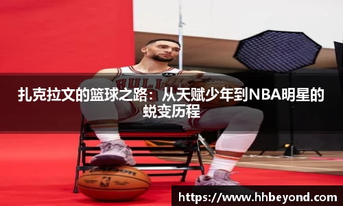 3377体育官网